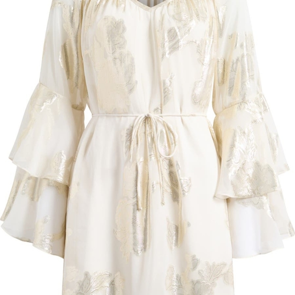 Shimmering Ruffled Mini Dress